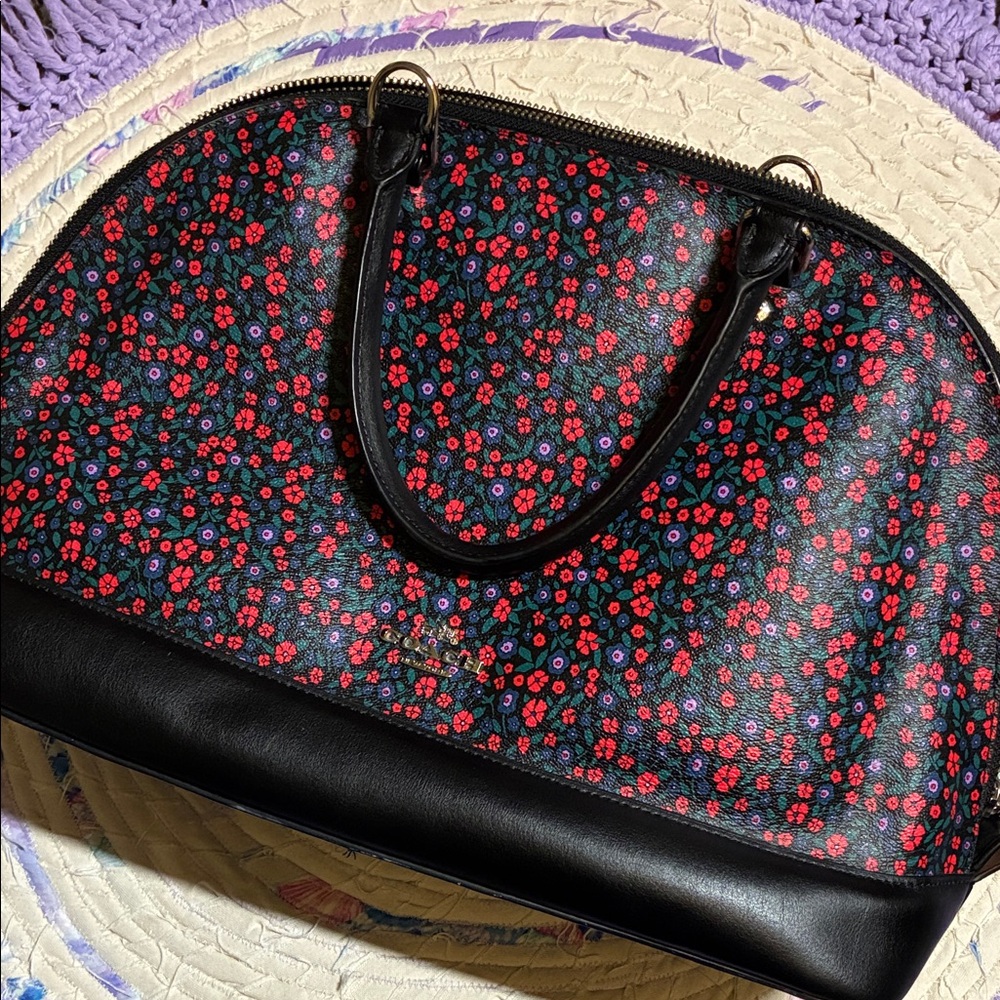 Coach Sierra Satchel